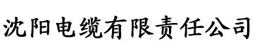 欧美国产日韩在线播放电缆厂logo